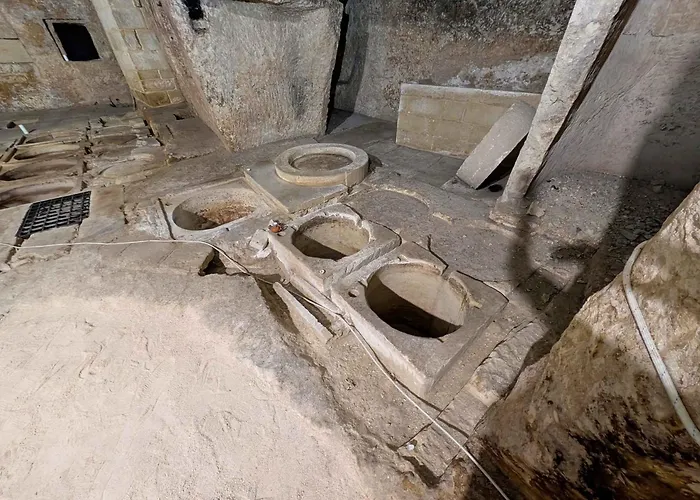 Trapetum-Salento Domus